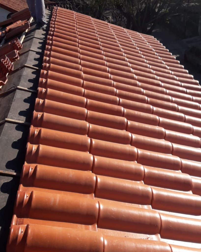 Proyecto Las Anémonas