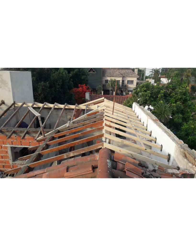 Proyecto Las Anémonas